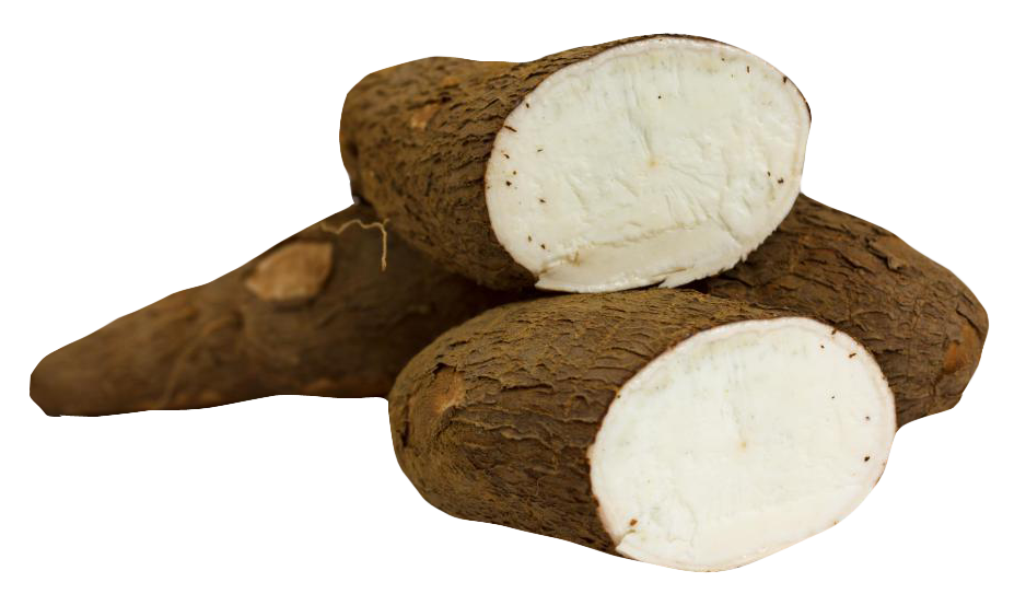 Cassava